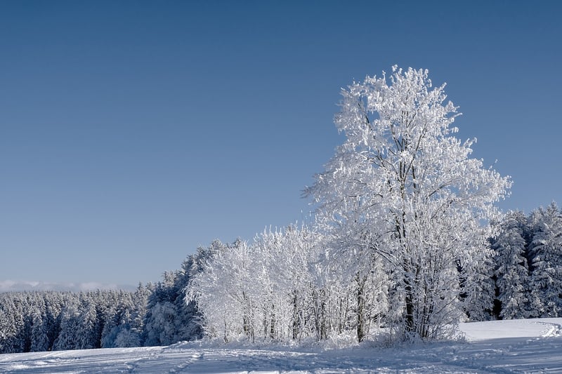 Secluded Cabin in Winter